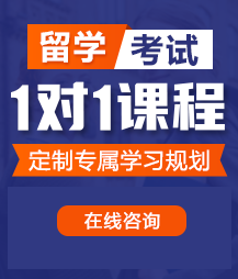 鸡巴操操骚逼逼留学考试一对一精品课